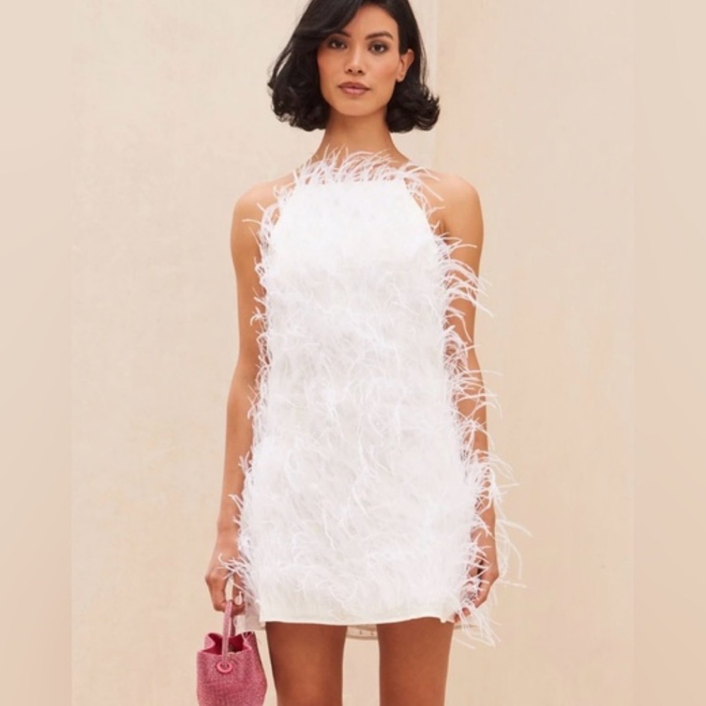 Beautiful Cult Gaia Shannon feather dress